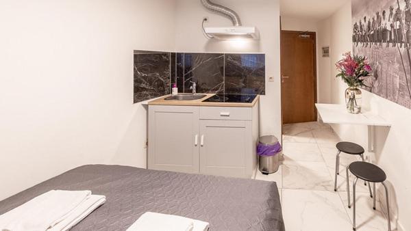 Appartement Palais Gare Du Nord *